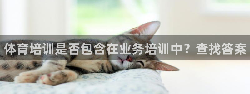 尊龙ag：体育培训是否包含在业务培训中？查找答案