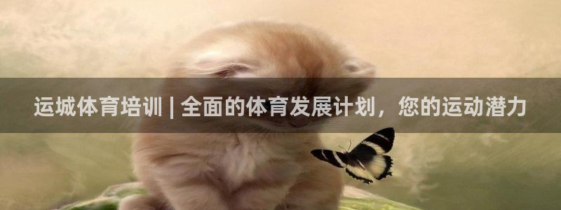 凯时尊龙app国际官方网站：运城体育培训 | 全面的