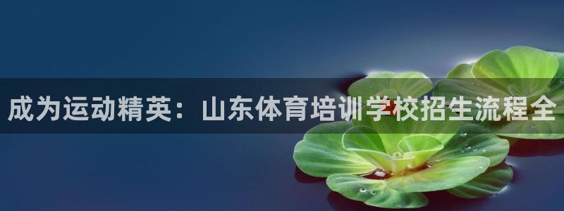 尊龙凯时发展历程：成为运动精英：山东体育培训学校招生流程全