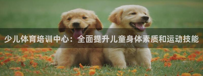 尊龙app下载官网：少儿体育培训中心：全面提升儿童身