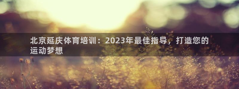 尊龙人生就是博ag旗舰厅：北京延庆体育培训：2023年最佳指