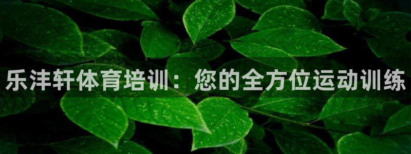 尊龙官网入口：乐沣轩体育培训：您的全方位运动训练