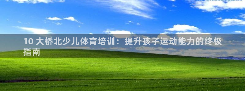 尊龙凯时官网：10 大桥北少儿体育培训：提升孩子运动能力的终
