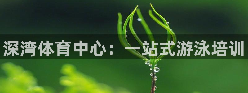 尊龙凯时 人生就是搏首页