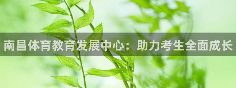 尊龙app|首选agdaohang
