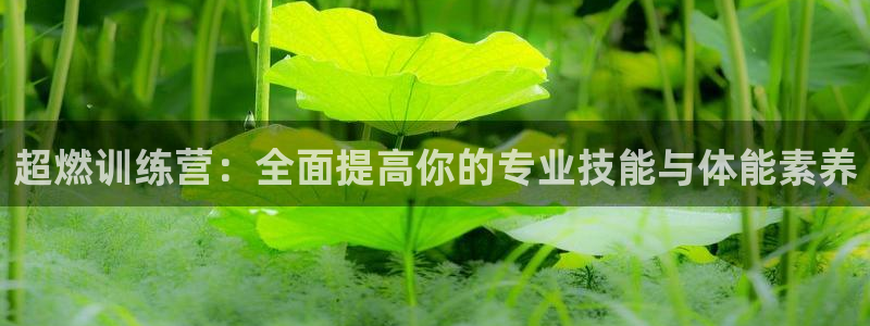 z6com尊龙凯时代理