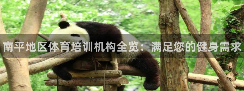 凯时旗舰厅App下载：南平地区体育培训机构全览：满足您的健身